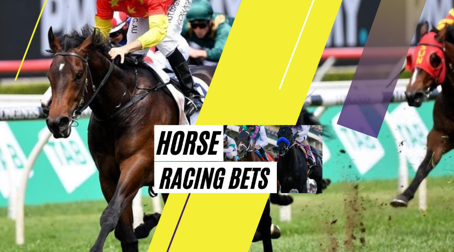 horse racing betting odds