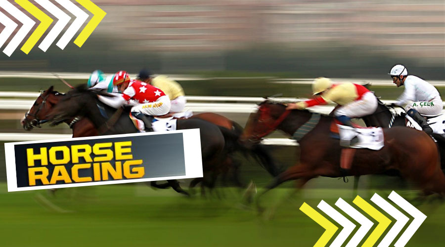 horse racing betting odds is the multiple offers